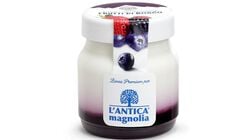 Yogurt e dessert - Yogurt della Valtellina Frutti di bosco